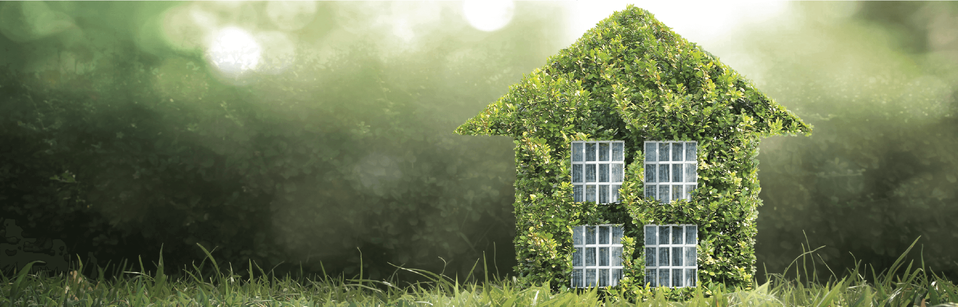 Image showcasing Green Homes of the Future: Innovations in Sustainable Living Spaces ...